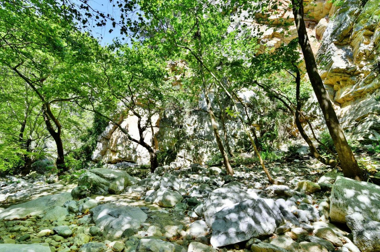 Mylopotamos Beach House Bagian luar foto